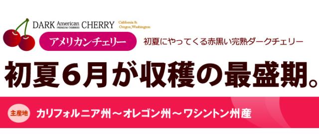 初夏6月がアメリカンチェリー最盛期