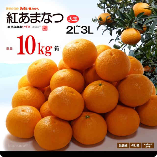 紅甘夏(2L3L/10kg)販売お届けボリューム姿