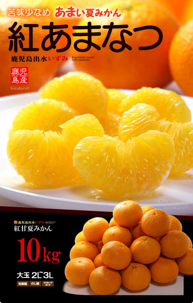 紅甘夏(2L3L/10kg)販売/通販