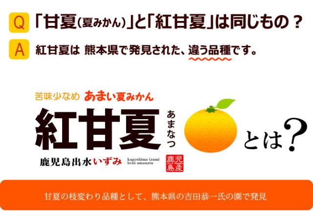 紅甘夏(べにあまなつ)とは?