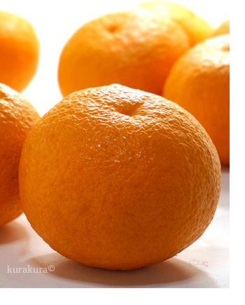 果皮オレンジ色の紅甘夏