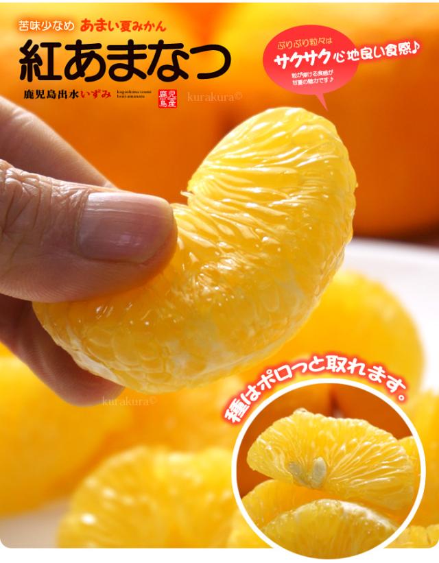 ぷりぷり紅甘夏を食べる