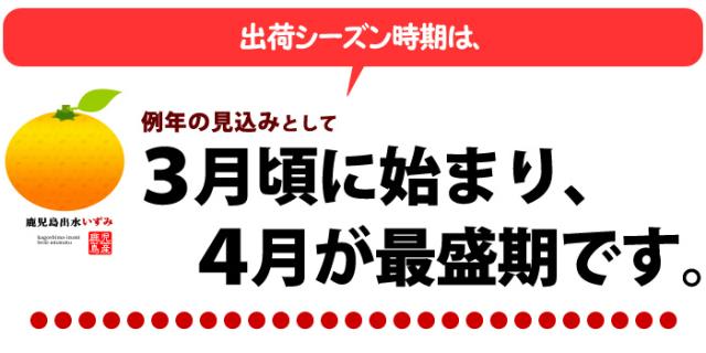 出水の紅甘夏の出荷シーズン時期案内