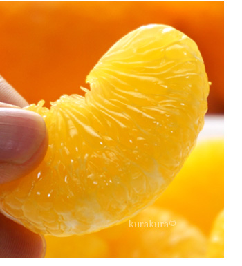 紅甘夏の黄橙色した果肉