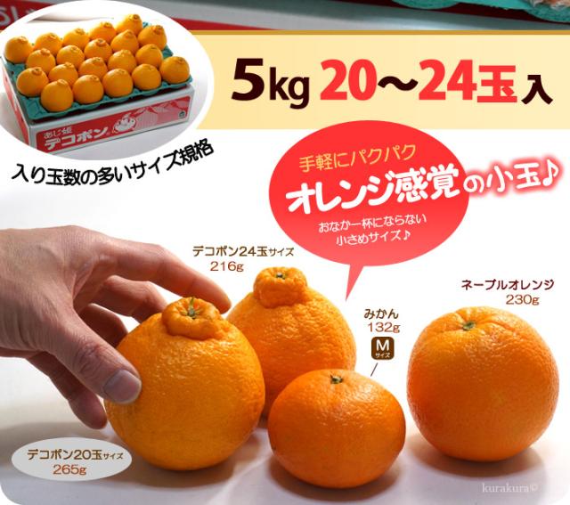 あじ姫デコポン5kg箱20玉〜24玉入サイズ