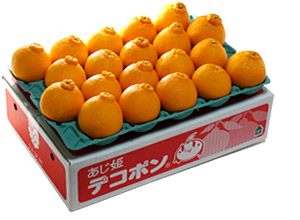 あじ姫デコポン箱ごと