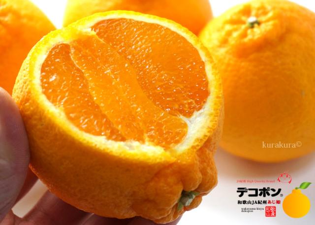 ずっしり果汁のJA紀州あじ姫デコポンの果肉