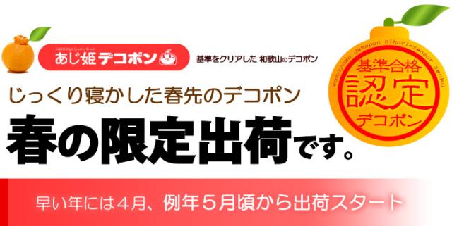 JA紀州の認定デコポン春5月出荷開始です