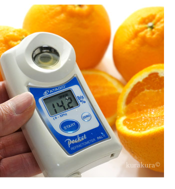 デコポン寝かせると甘くなる