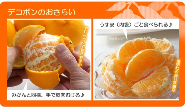 デコポン特徴おさらい