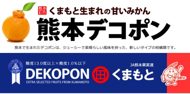 熊本生まれデコポンについて
