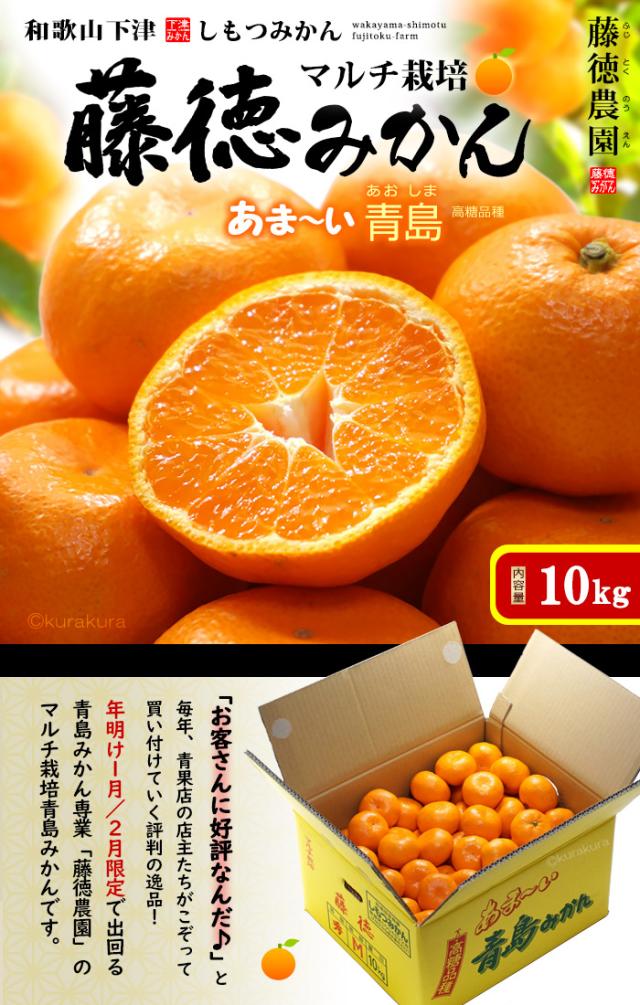 藤徳しもつみかん(秀)青島10kg販売/通販