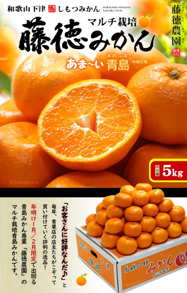 藤徳しもつみかん(秀)青島5kg販売/通販