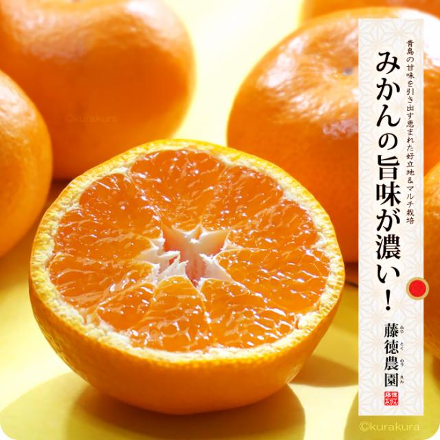 みかんの旨味が濃い！藤徳みかん