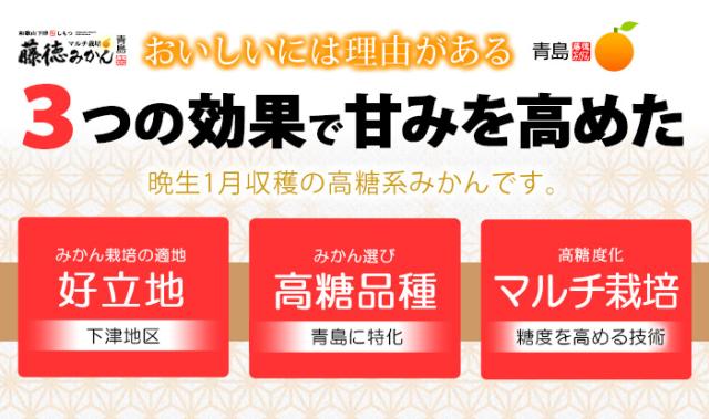 3つの効果で甘みを高めた高糖系みかん