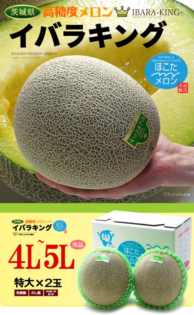 イバラキング茨城メロン4L5L2玉販売/通販