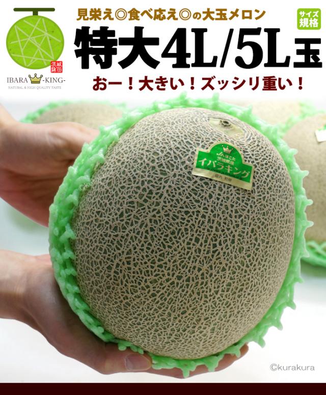 イバラキング特大玉4L5Lサイズのメロン規格大きさイメージ