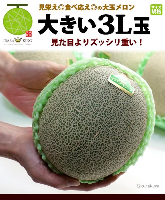 イバラキング大玉3Lサイズメロン規格大きさイメージ
