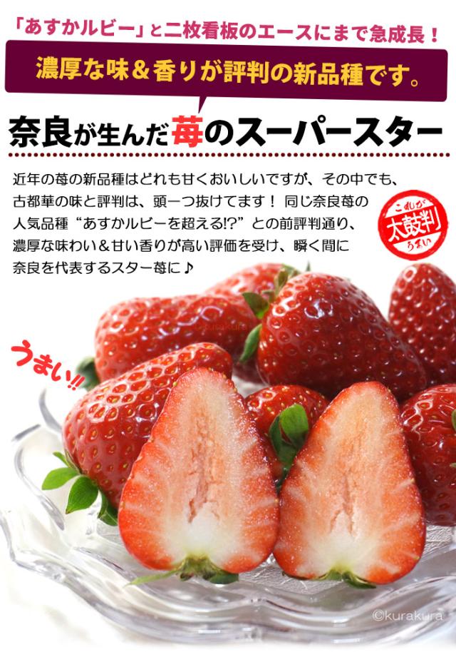 古都華イチゴ奈良県が生んだ苺のスーパースター