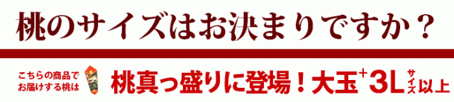 桃のサイズはお決まりですか?大玉+3Lサイズ