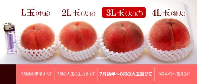 桃の大きさイメージL玉〜3L4L玉サイズの比較