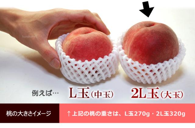 桃の大きさイメージL玉と2L玉サイズの比較
