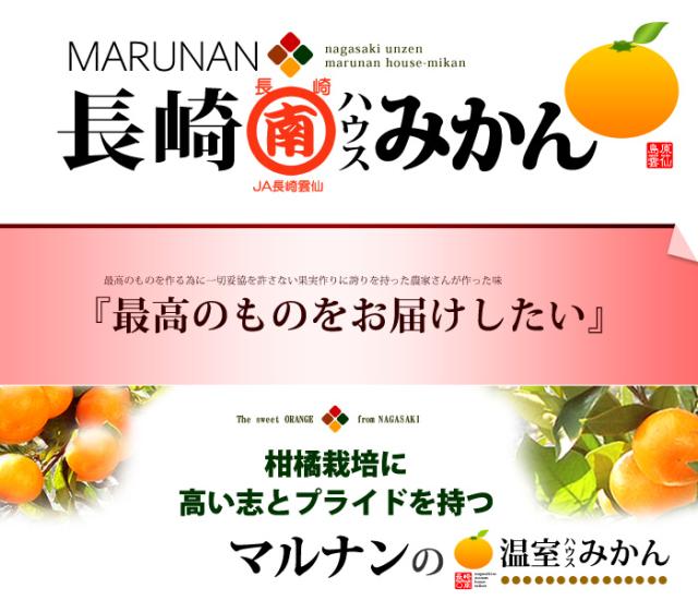 長崎マルナン〇南ハウスみかんとは？