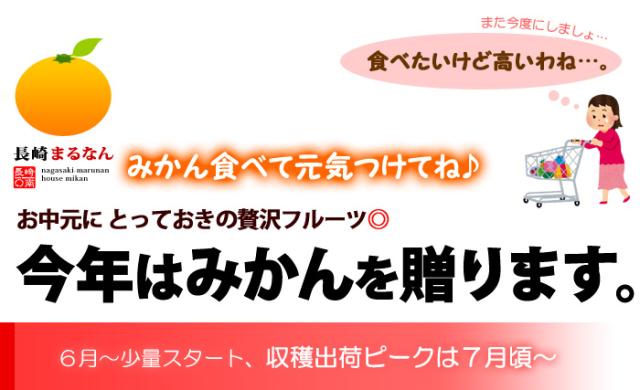 マルナン夏のハウスみかんは贈り物が◎