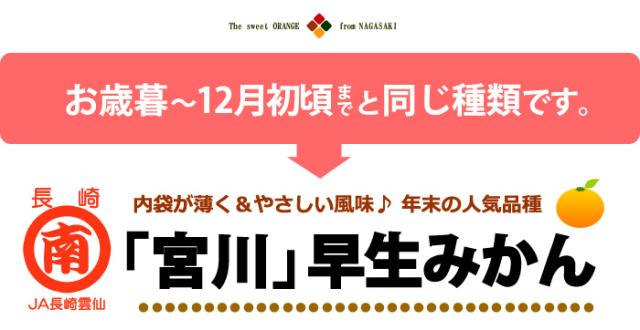 マルナンは宮川早生みかんを採用
