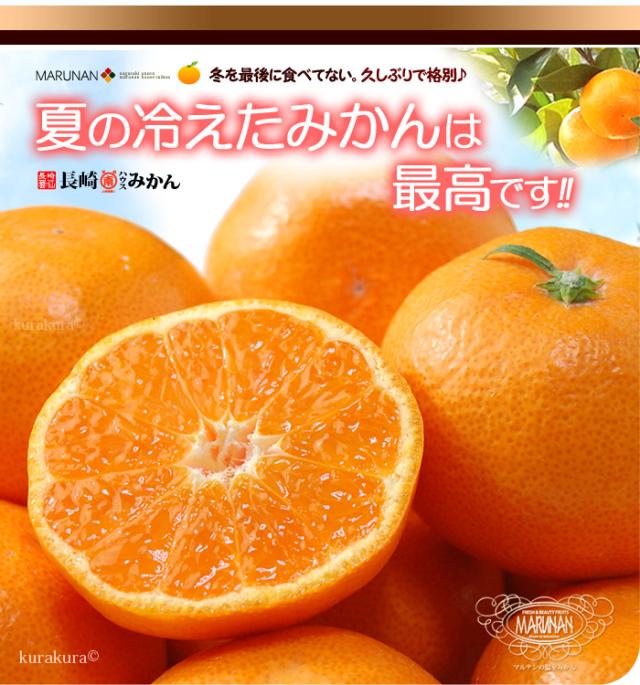 マルナン夏の冷えたみかんは最高です!!