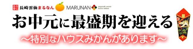 お中元に贈るハウスみかん