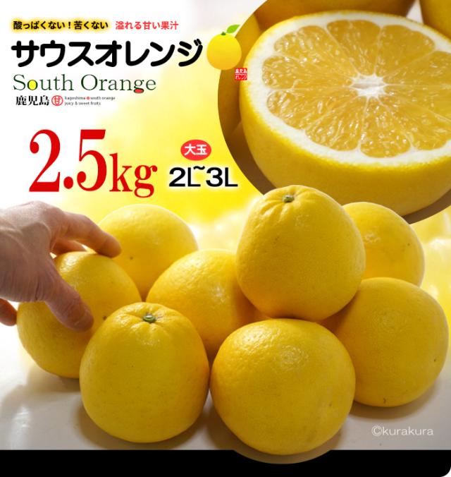 鹿児島産サウスオレンジ秀品2.5kg販売ボリューム