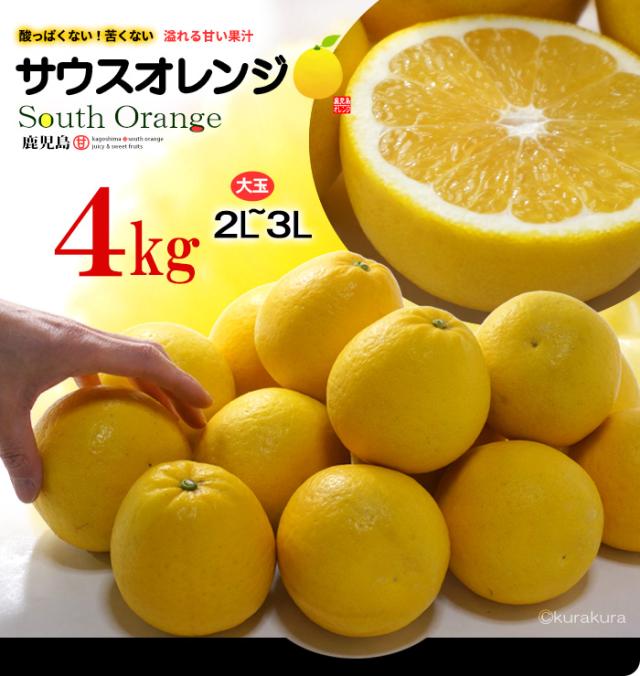鹿児島産サウスオレンジ秀品4kg販売ボリューム