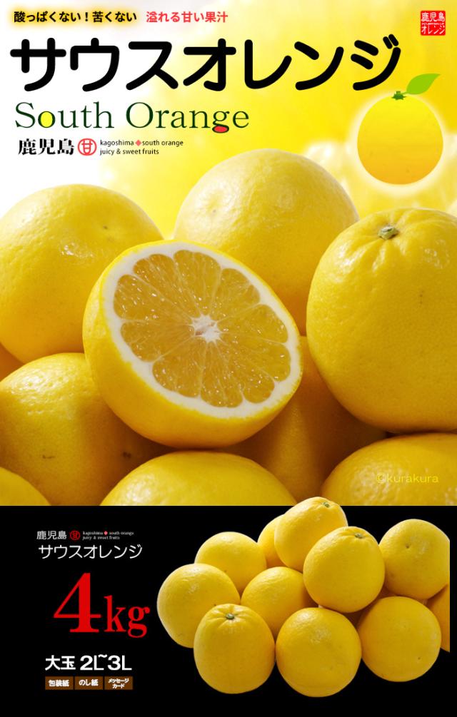 サウスオレンジ4kg販売/通販