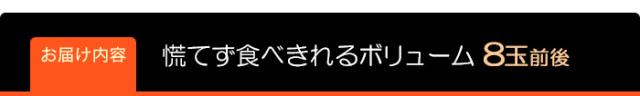 サウスオレンジ慌てず食べきれるボリューム8玉前後