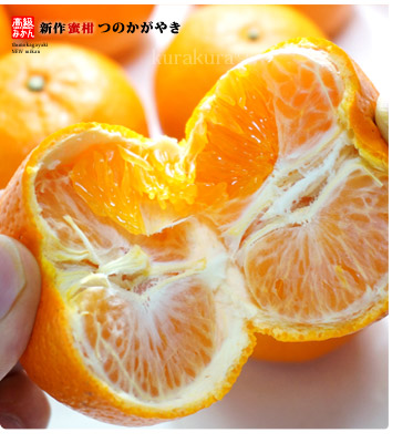 津之輝カンタンに剥ける高級ミカン