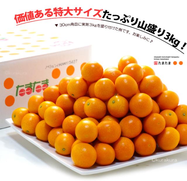 たまたま3L価値ある特大サイズたっぷり山盛り3kg！