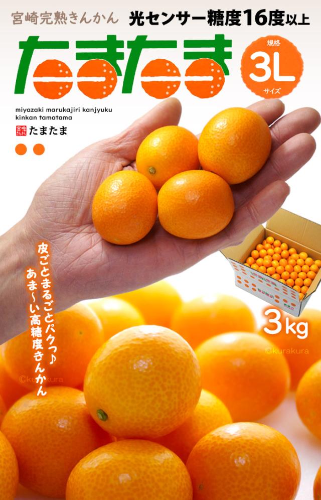 宮崎完熟きんかん「たまたま」3L3kg販売/通販