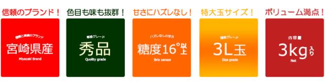 宮崎完熟きんかんたまたま販売規格