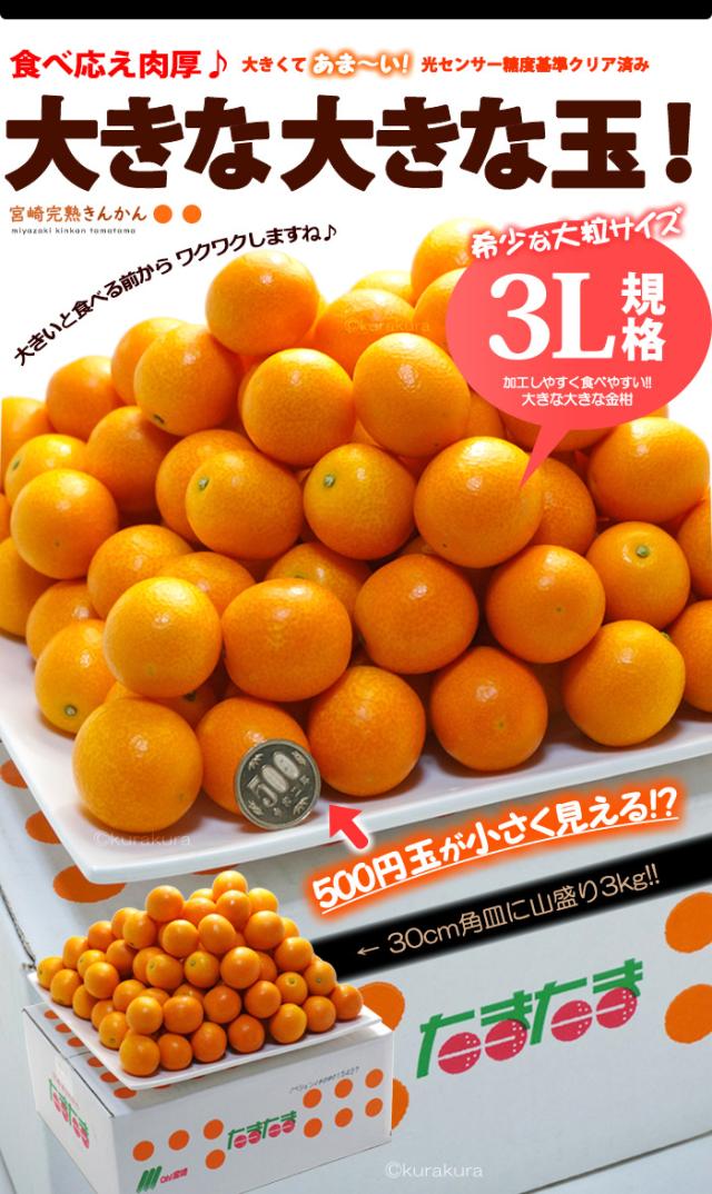 大きな大きな3L玉たまたま限定販売