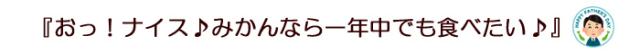 ミカンなら一年中食べたい