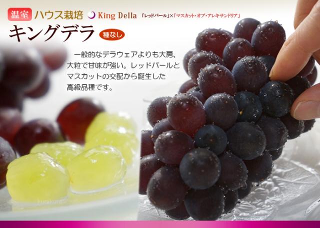 詰め合わせ品目_キングデラ