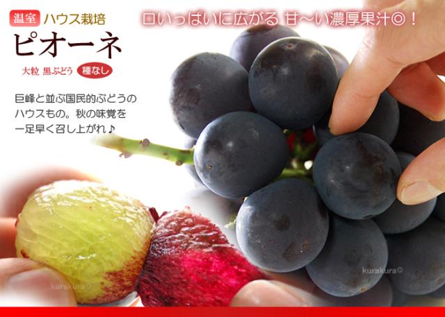 詰め合わせ品目_ピオーネ