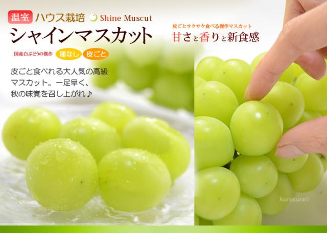 詰め合わせ品目_シャインマスカット