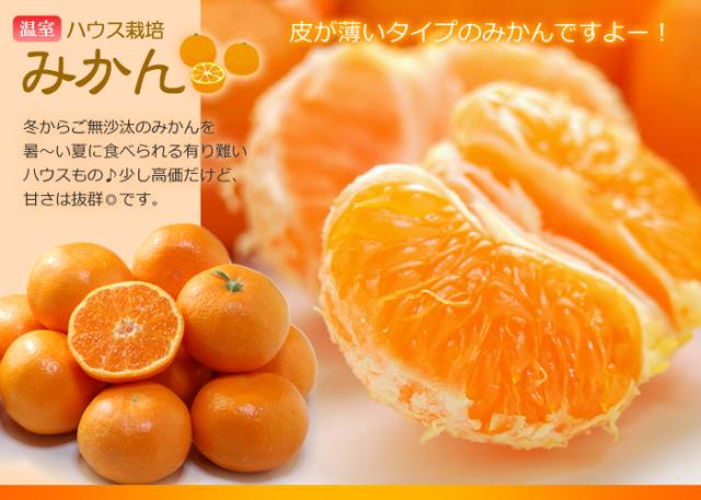 詰め合わせ品目_ハウスみかん