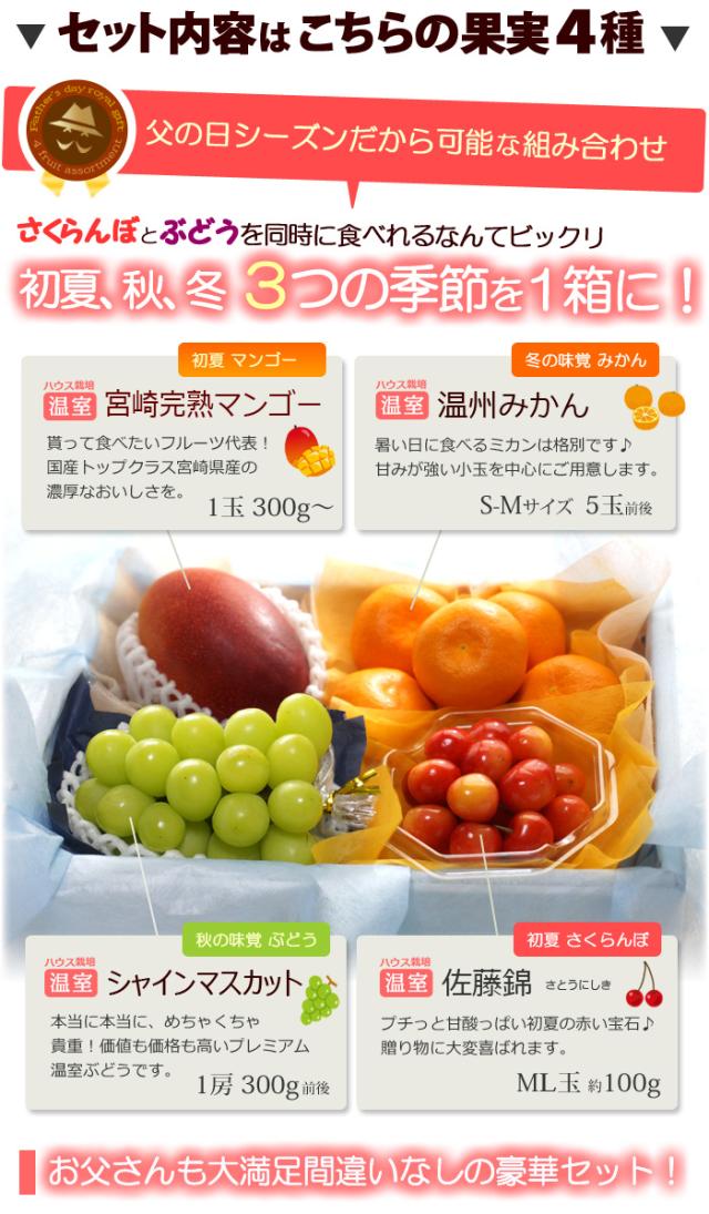 父の日ロイヤル（C）フルーツ詰め合わせセット内容詳細