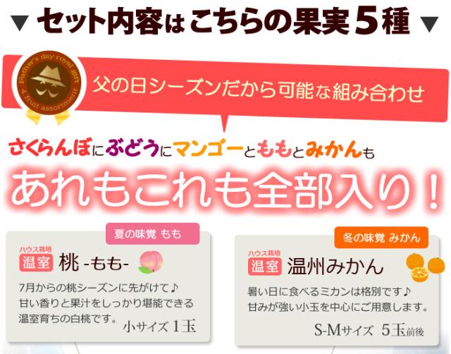 父の日ロイヤル（H）フルーツ詰め合わせセット内容詳細_1