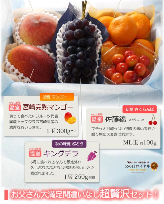 父の日ロイヤル（H）フルーツ詰め合わせセット内容詳細_2