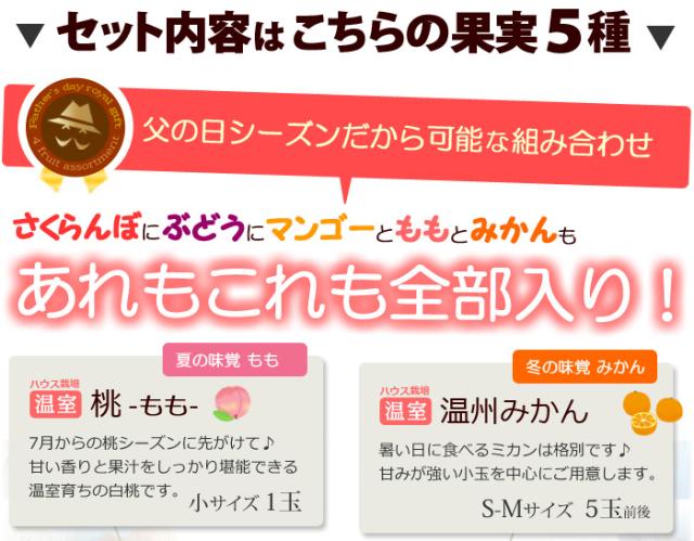 父の日ロイヤル（E）フルーツ詰め合わせセット内容詳細_1
