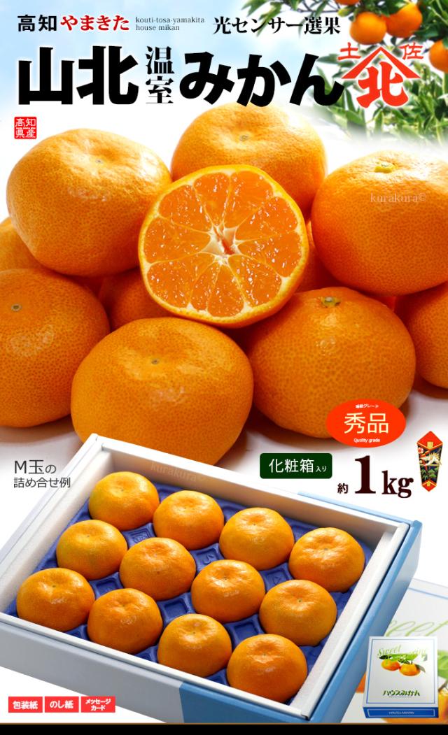 山北温室ハウスみかん（秀1kg）販売/通販